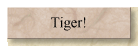 Tiger!